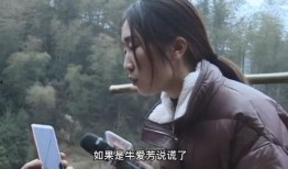 网友牛小姐爆料视频,揭秘事件背后惊人真相